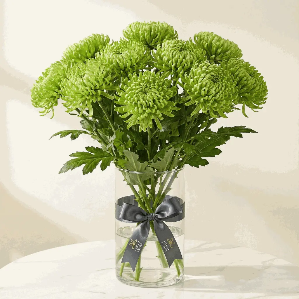 CHRYSANTHEMUM green.webp