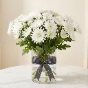 CHRYSANTHEMUM SANTINI White.webp