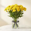 CHRYSANTHEMUM DECO Yellow.webp