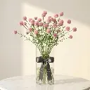 CRASPEDIA Pink.webp