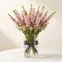 ERICA Pink.webp