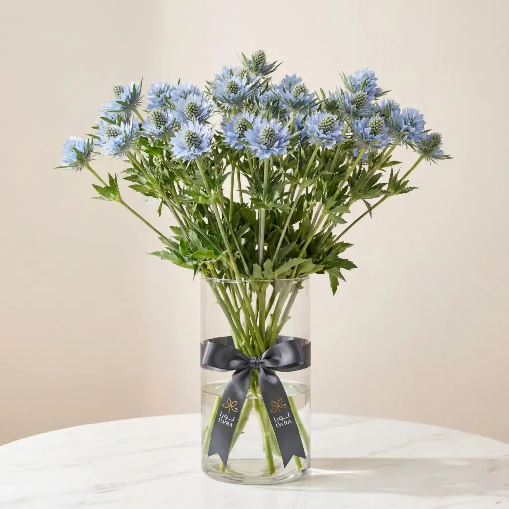 ERYNIGUM Blue.webp