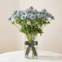 ERYNIGUM Blue.webp