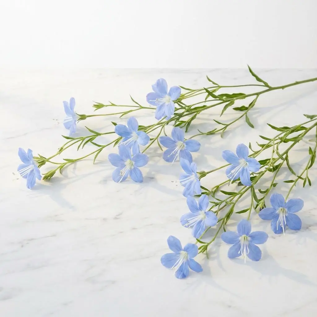 TWEEDIA Blue1.webp