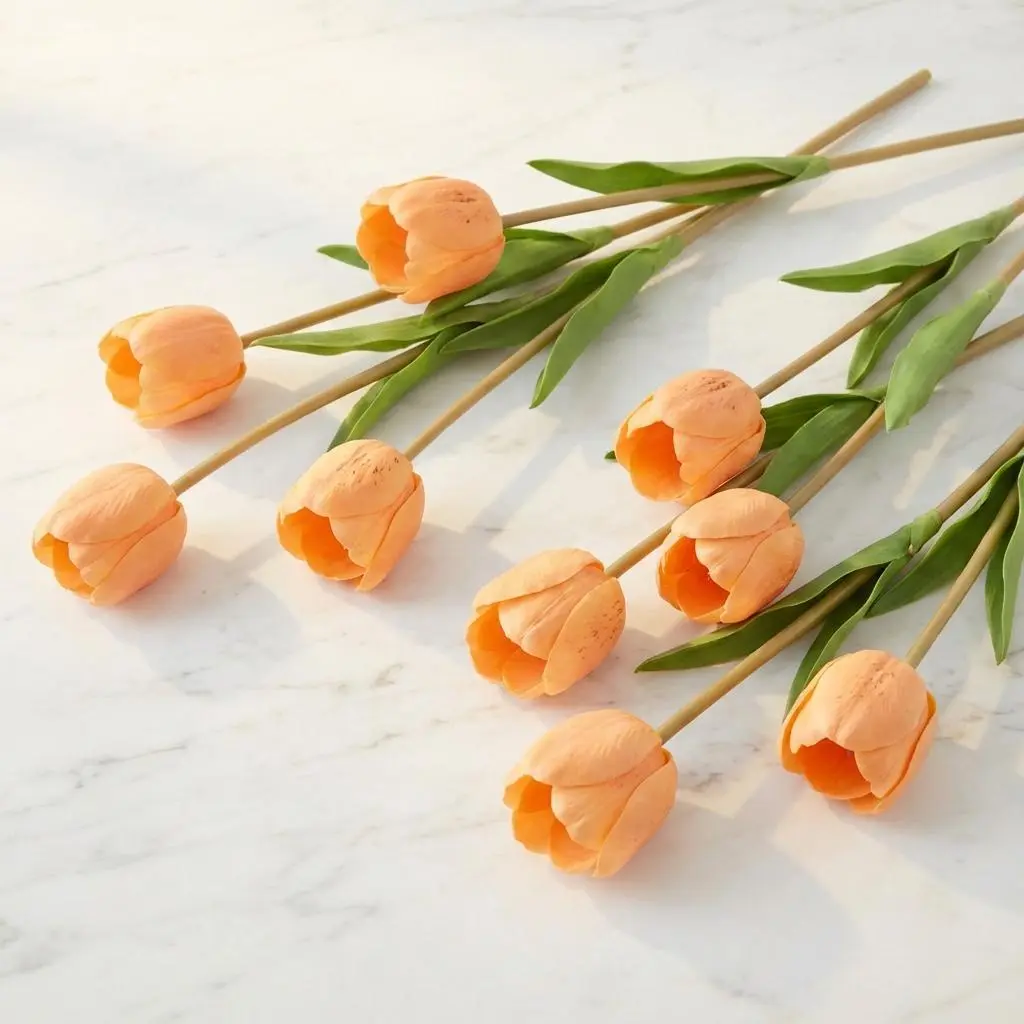 TULIP Orange1.webp