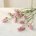 STATICE Pink1.webp