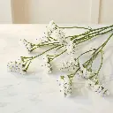 STATICE White1.webp