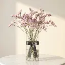 STATICE Pink.webp