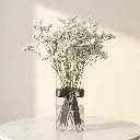 STATICE White.webp