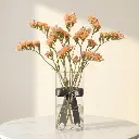 STATICE Orange.webp