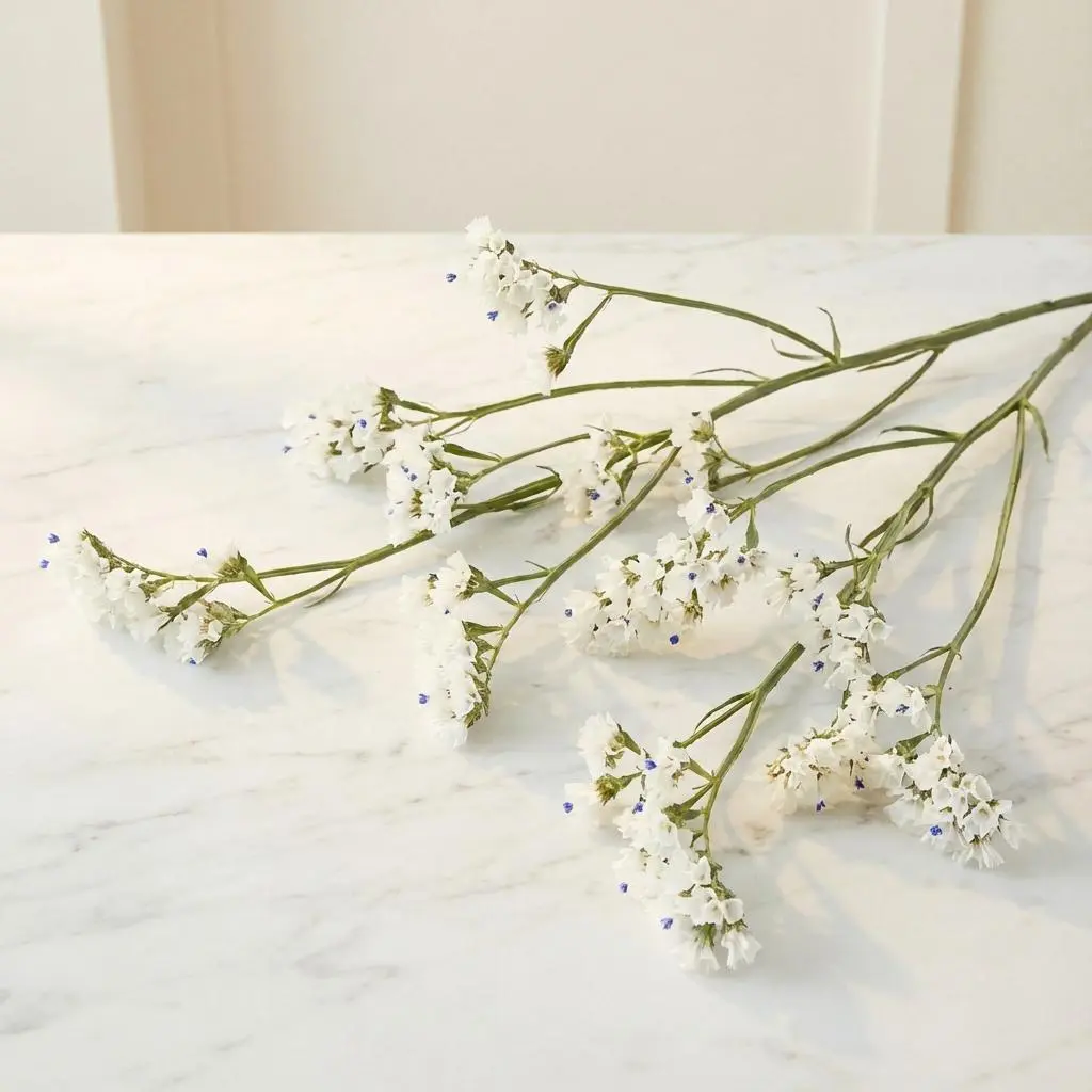 LIMUNIUM white.webp