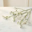 LIMUNIUM white.webp
