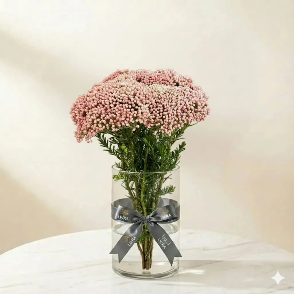 03b97df6-40f5-4fae-b8e3-bb219a2a8ce5.webp