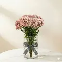 03b97df6-40f5-4fae-b8e3-bb219a2a8ce5.webp