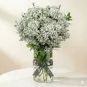 75287bb4-f967-468a-889f-c332aa85e800.webp