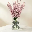DELPHINIUM (PINK).webp