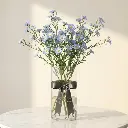 ASTER_blue.webp