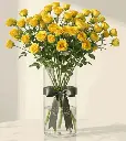 d7265af1-a52d-4a81-b9c6-3a81c6afdfbb.webp