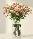 b2e15213-6450-449c-ab6f-b92344d8db79.webp
