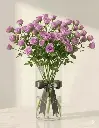06124477-3477-445a-9853-53ba626757f7.webp