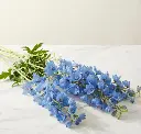 fb953eb7-6ac7-4530-b444-27bb41b0f239.webp
