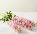 6ab069fd-fbc4-4c6a-abf8-7d43288efa84.webp