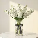 WhatsApp Image 2025-12-19 at 11.02.11 PM (2).webp