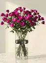 1745db37-38d2-4c52-8327-5062e4432212.webp