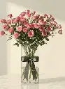 f57de5f9-6790-44b7-b62d-554d54c4b4e7.webp