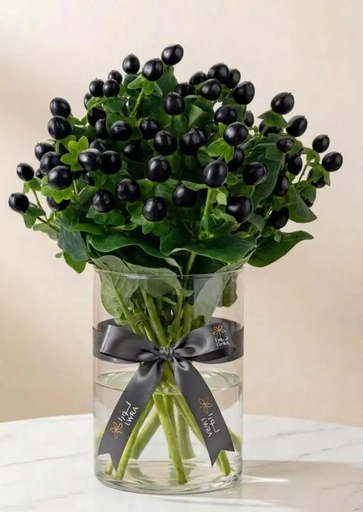d91200a0-c357-40fb-8ff5-db011c14f5e3.webp