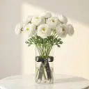 RANUNCULUS رانونكولوس