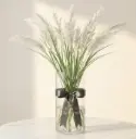 PAMBAS GRASS بامباس 